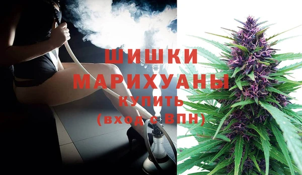 молекула духа Аркадак