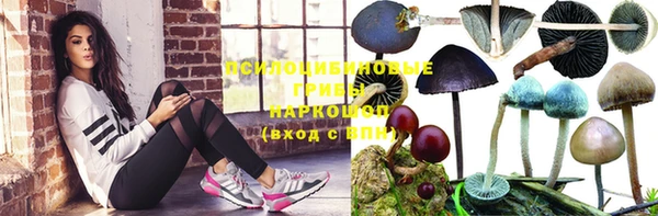 молекула духа Аркадак